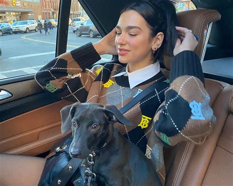 Shop Dua Lipa's Argyle Burberry Knit Sweater 